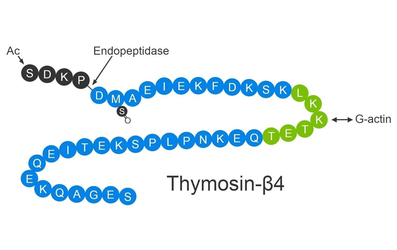 Peptide Capsules